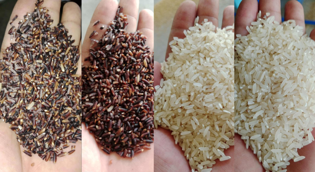 Dark Modern Elegant Singer New Song Youtube Thumbnail E1768631954465 1024x560