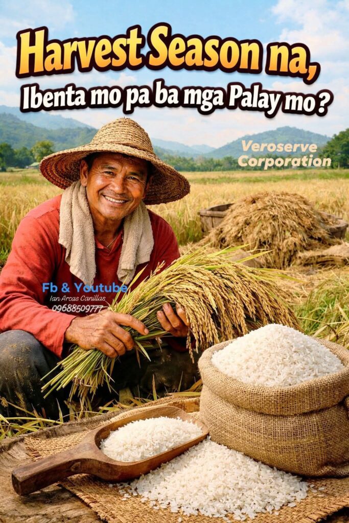 Veroserve Corporation 683x1024