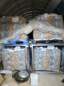 onion & garlic dryer by shin nong