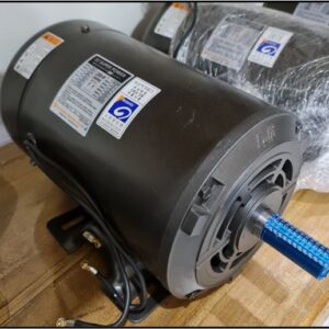 motor induction 3hp