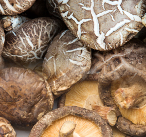 Shin Nong Dehydrator Machine dryer01 img13