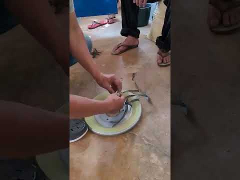 youtube placeholder image